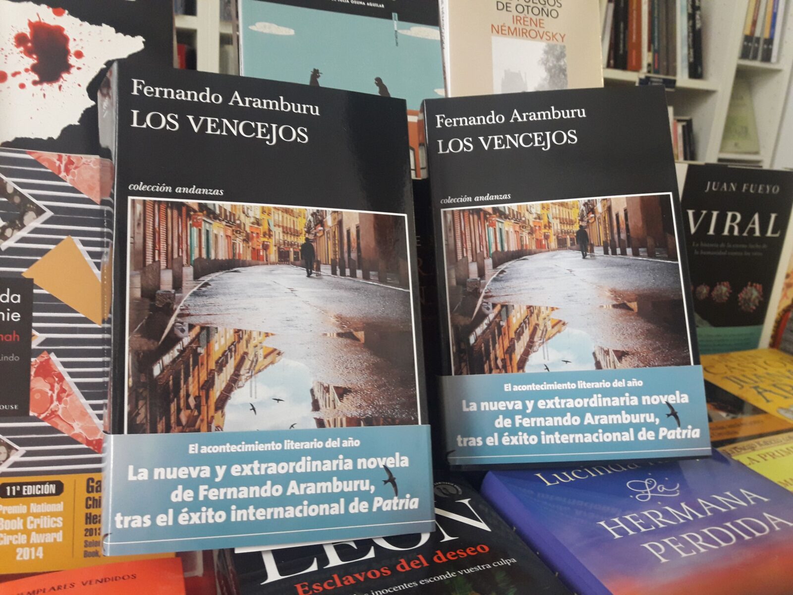 El Libro De La Semana Recomendado Por El Libro En Blanco Y Culturamanía Es Los Vencejos La 0951