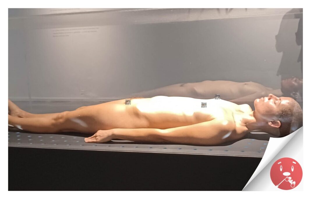 Acción y pensamiento: la SAC y el Espacio Cultural El Tanque presentan dos nuevas exposiciones