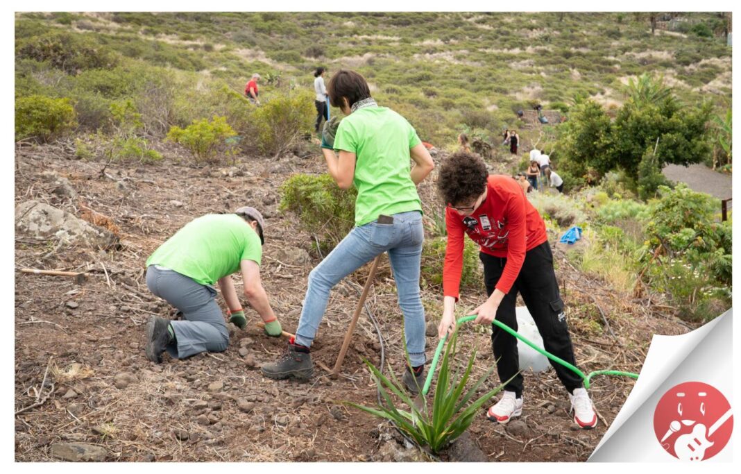 El Festival Keroxen planta 200 especies endémicas en el Jardín Canario de Bajamar