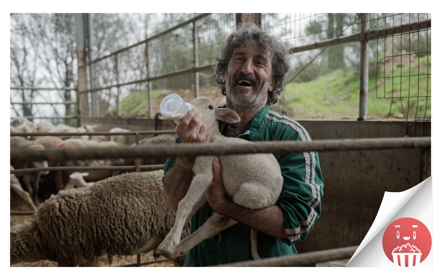 Animal salvaje, la nueva miniserie de Netflix rodada en Galicia y ...