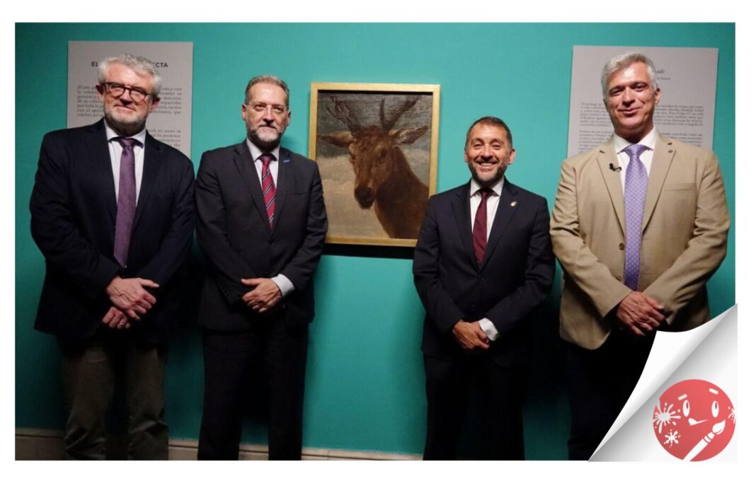 Santa Cruz de Tenerife expone “Cabeza de Venado”, de Velázquez, en el Museo de Bellas Artes