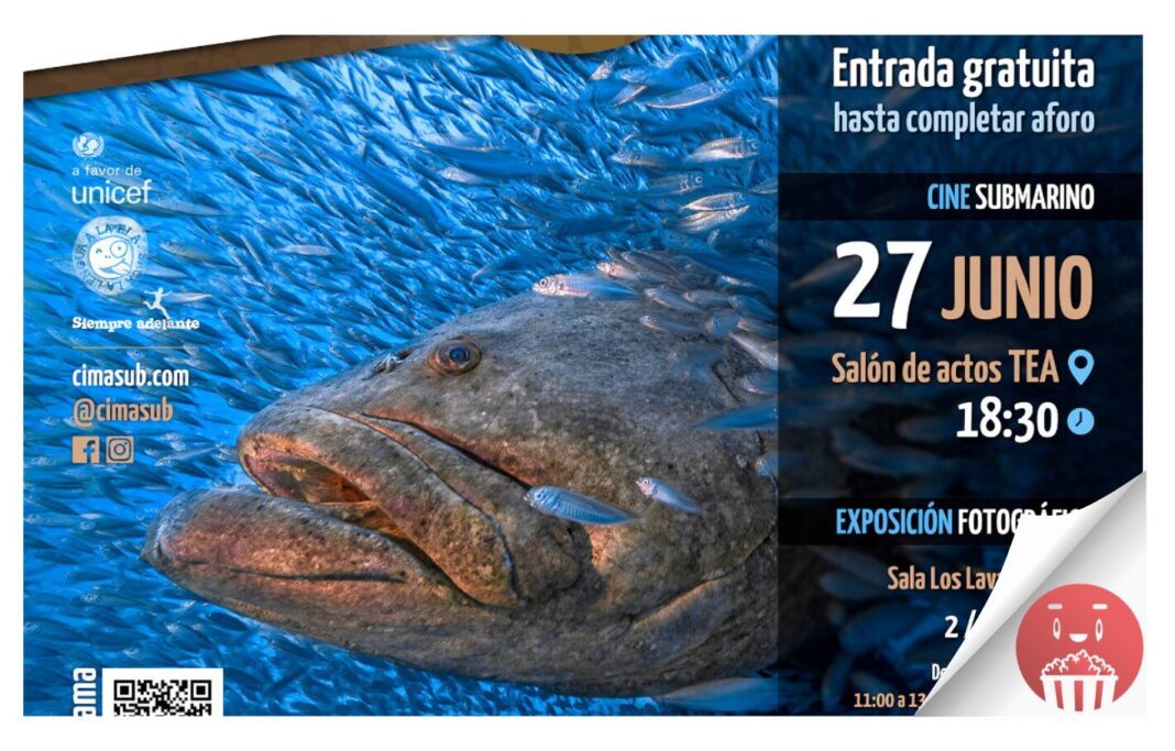 El Cabildo de Tenerife organiza el I Cimasub Tenerife, que prevé ocho documentales sobre los fondos marinos