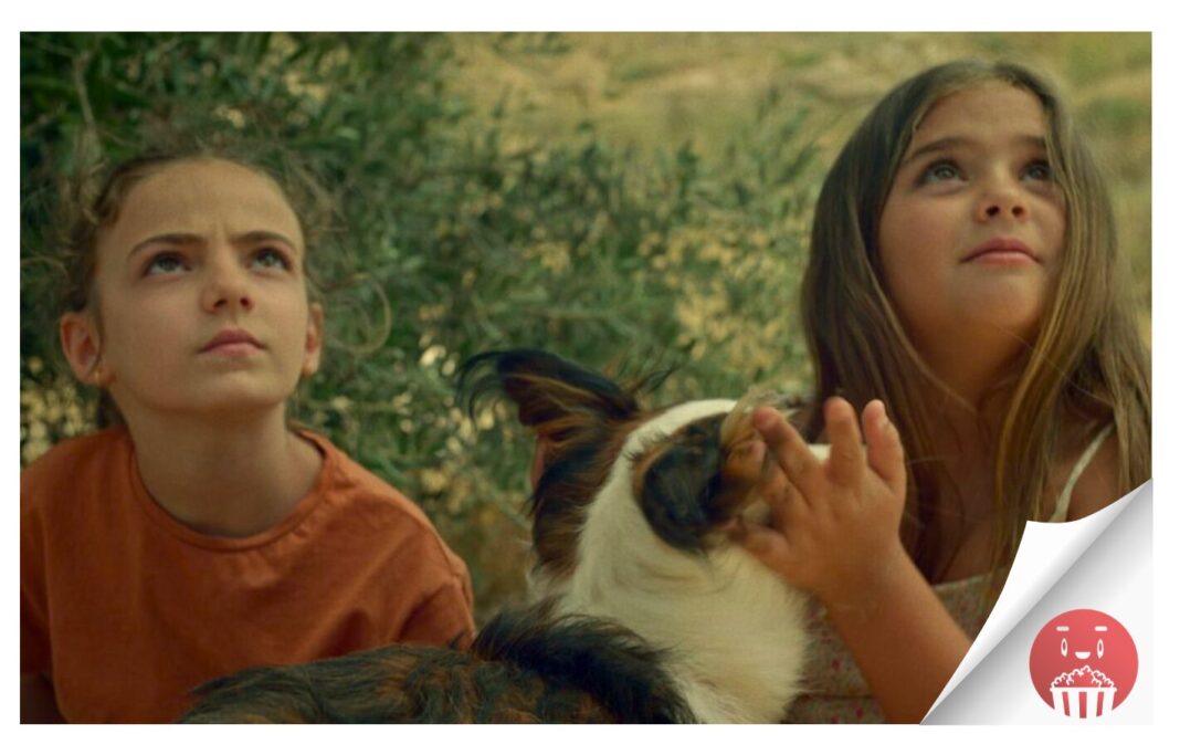 El Festival de Cortos de La Orotava cierra el plazo de inscripción con 640 cortos presentados