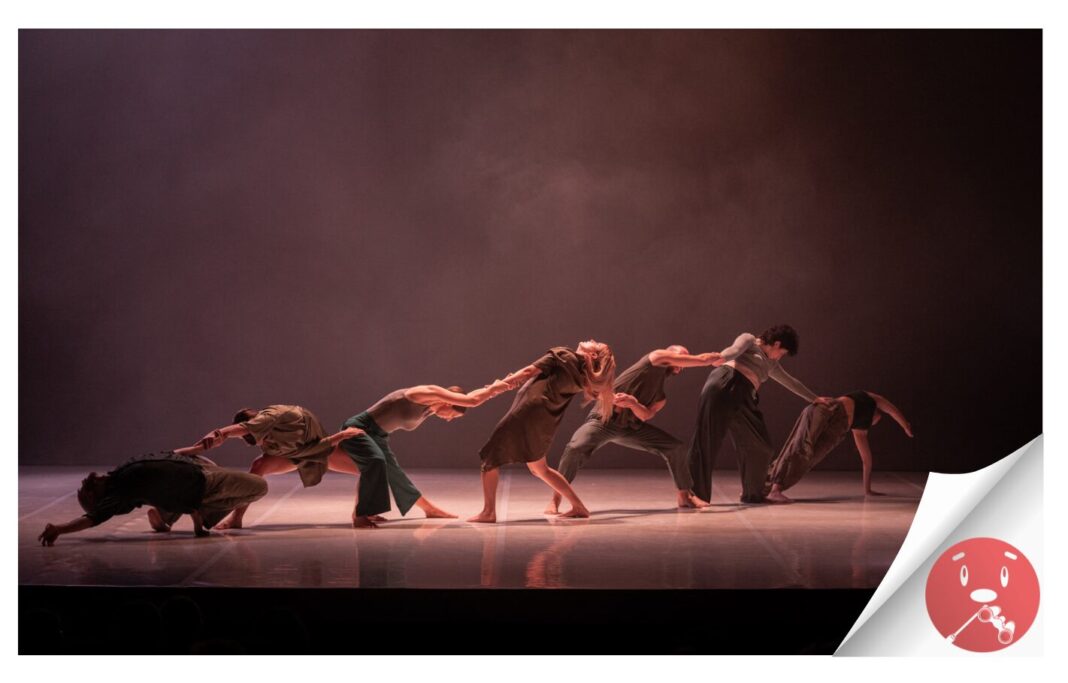 Salen a la venta las entradas de los diferentes espacios para el XXIII Canarias Dentro y Fuera