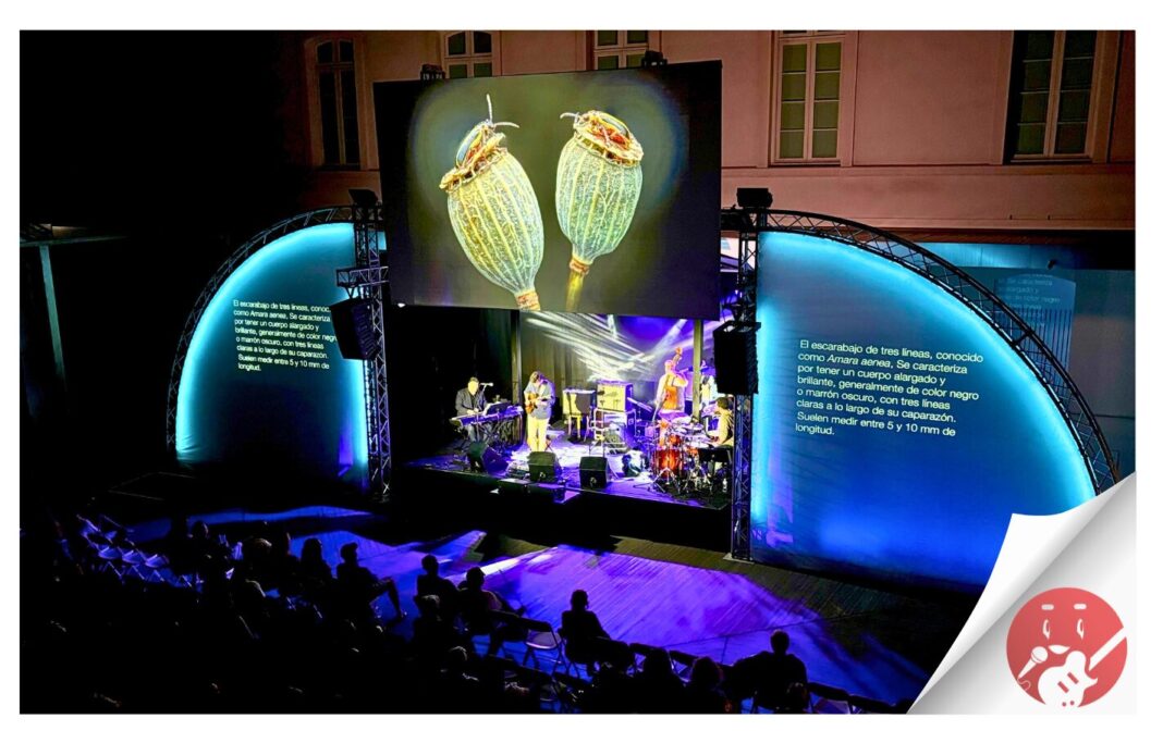 Más de 3 500 personas se suman a la fiesta del jazz en la undécima edición del festival #NaturaJazz en el MUNA