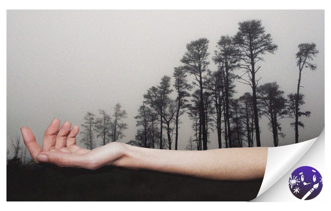 Espacio Bronzo inaugura la exposición de joyería contemporánea ‘Nadie habla del bosque’, este viernes, 21 de febrero