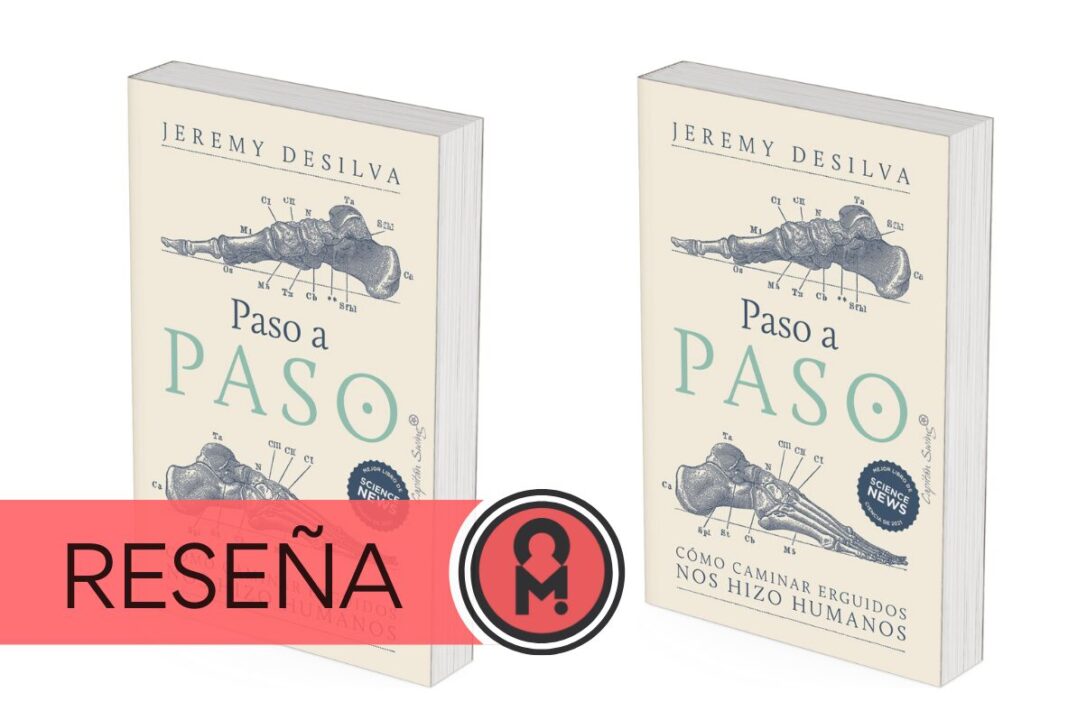 Paso a paso: Cómo caminar erguidos nos hizo humanos, de Jeremy DeSilva. Por Álex Ro