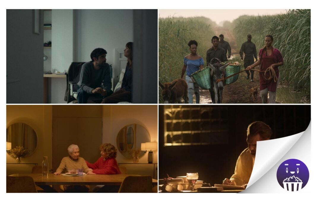 Once producciones canarias se abren paso en el Festival de Cine de Málaga y su mercado