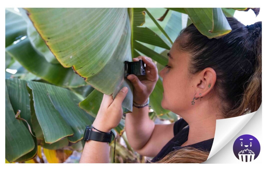 Fotosíntesis trata la adaptación al cambio climático y la agricultura dentro de FICMEC