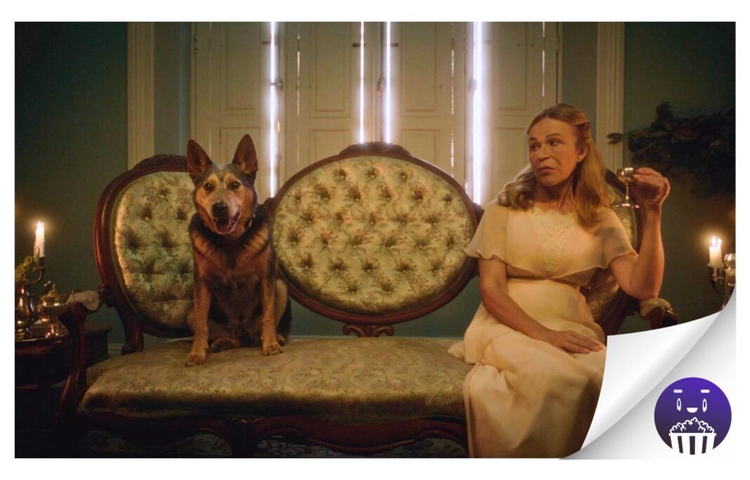 Canarias Cinema presenta cortos con miradas diversas sobre historia, conflicto, territorio y humor acerado