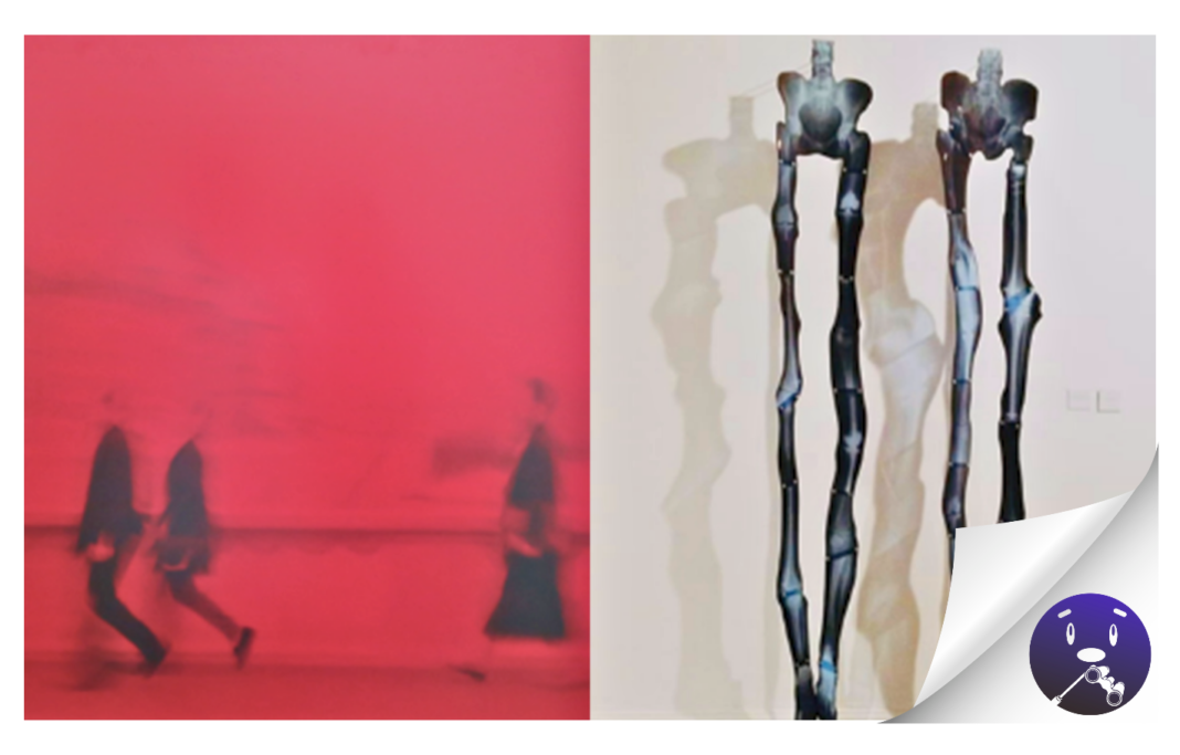 Santa Cruz se convierte en un gran escenario para la danza contemporánea