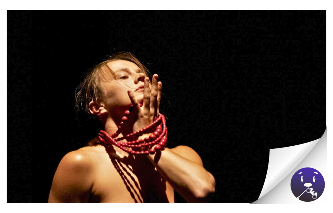 MOVE celebra su V edición llevando las artes del movimiento al corazón de Canarias