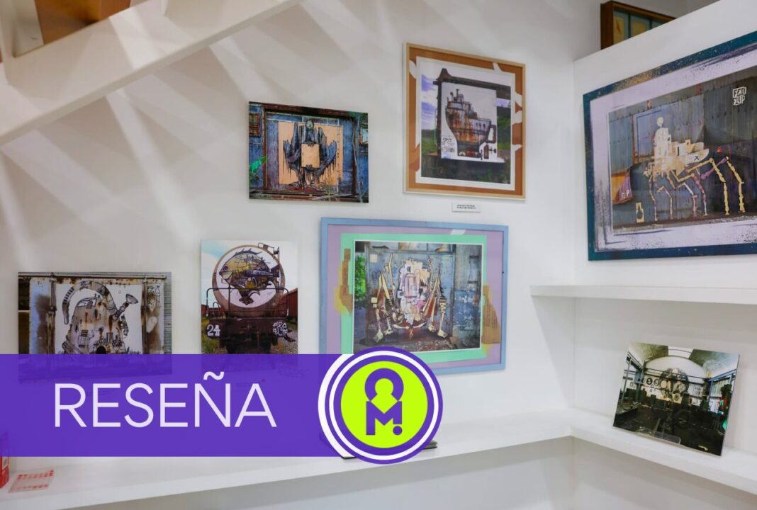 Feo Flip, Planos y pronósticos. Por Álex Ro