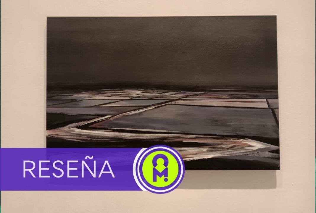 Exposición: «Habitar la salina», de Patricia Santana en la SAC. Por Verónica Martín