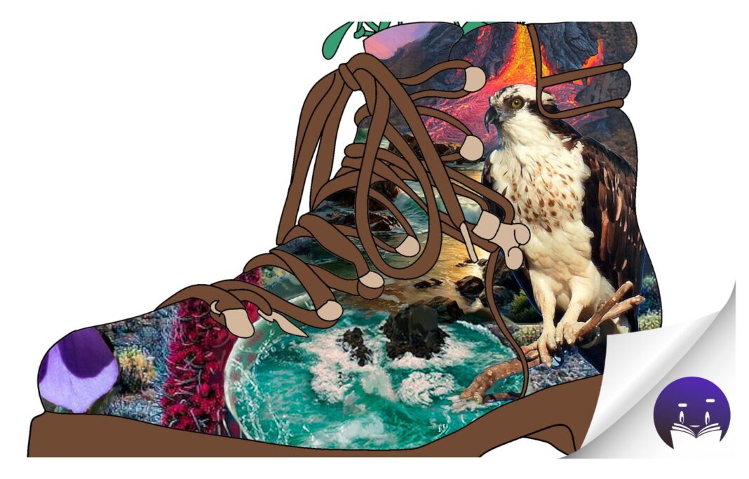 El MUNA acoge la celebración de la XXVI Bienal de la Real Sociedad Española de Historia Natural