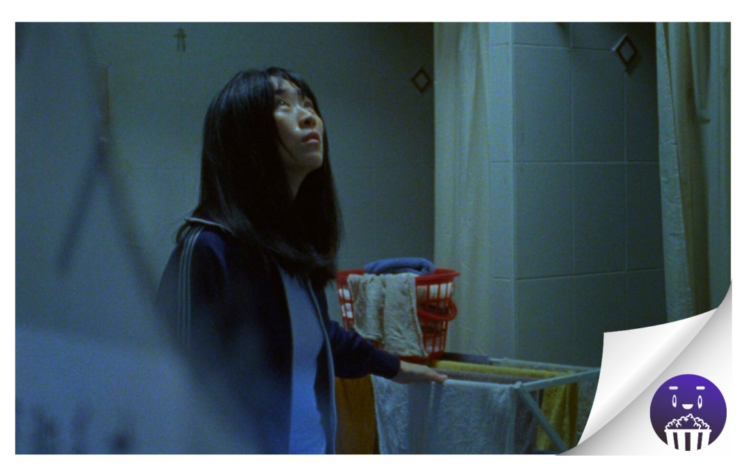 El Festival de Cine y el Aula de Cine de la ULPGC llevan una sesión especial de «Camera Obscura» a Cine Yelmo Las Arenas