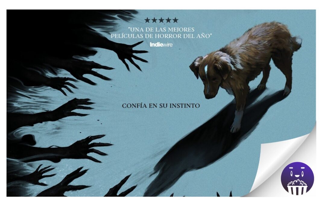 «Good Boy», el último fenómeno viral del cine de terror, llegará a los cines de la mano de Filmin