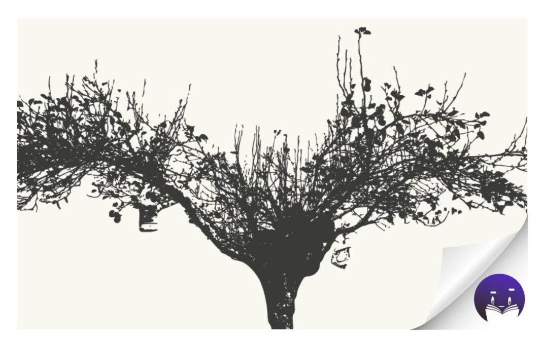 La Casa Lercaro acoge la presentación del libro ‘Sabiduría ancestral sobre el medio ambiente en el municipio de La Laguna’